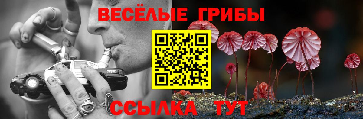 Галлюциногенные грибы мухоморы  Галлюциногенные грибы Psilocybe  Зима  как найти закладки  Вход с VPN 