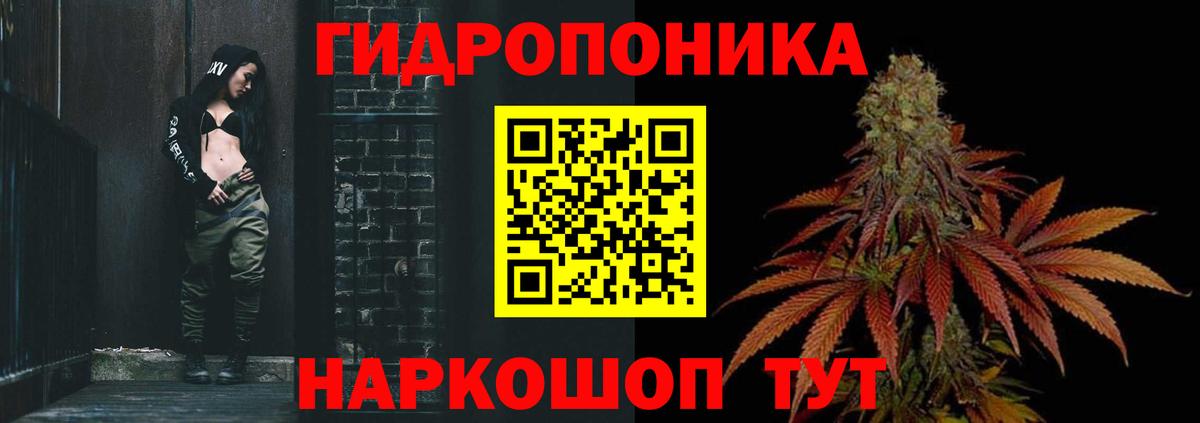 Каннабис план  Каннабис семена  Зима  Вход с VPN 